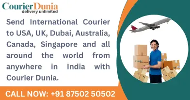Courier from India to USA - Fast & Affordable Shipping