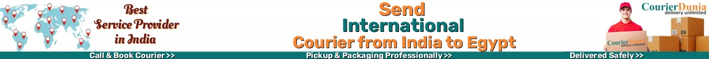 International Courier from India to Egypt 