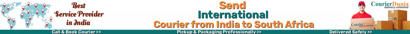 International Courier from India to South Africa 