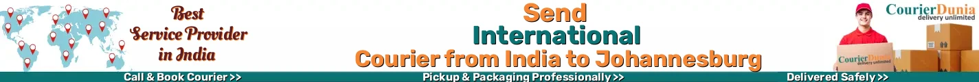 International Courier from India to Johannesburg 