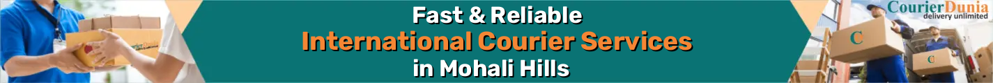 International Courier Services in Mohali Hills - Fast & Reliable