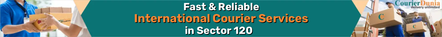 International Courier Services in Sector 120 - Fast & Reliable