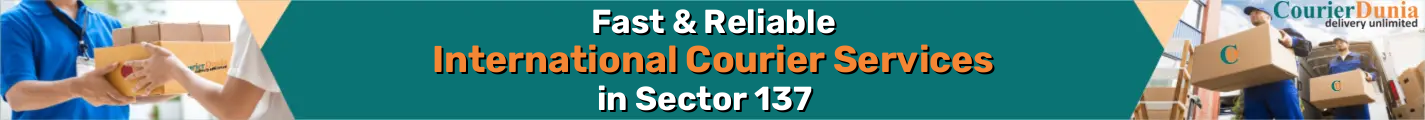 International Courier Services in Sector 137 - Fast & Reliable